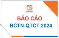 Báo cáo Tình Hình Quản Trị Công Ty Năm 2024